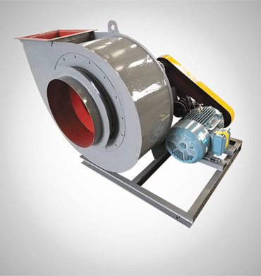 寰帰縐戞妧 寰帰縐戞妧